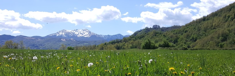 montagna PR