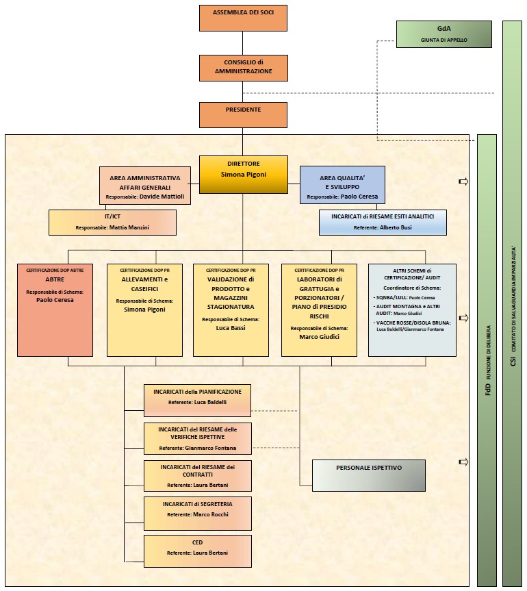 organigramma 01 07 25